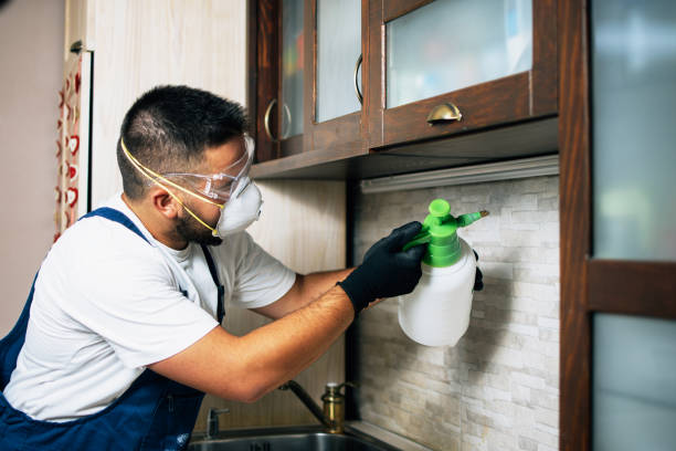 Best Emergency Pest Control  in Ennis, TX