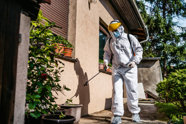 Pest Control for Restaurants in Ennis, TX