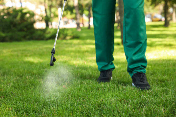 Best Affordable Pest Control Services  in Ennis, TX