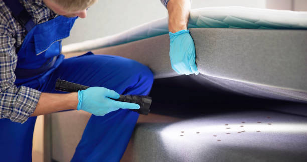 Best Pest Control Near Me  in Ennis, TX