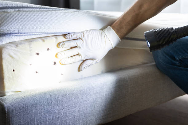 Best Wildlife Control Services  in Ennis, TX