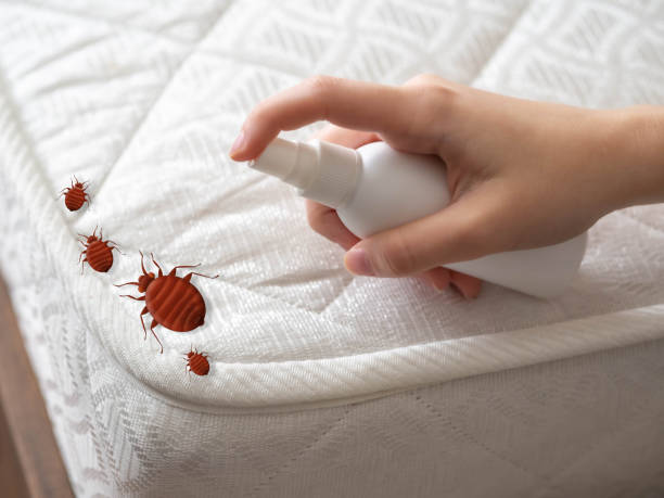 Best Emergency Pest Control  in Ennis, TX