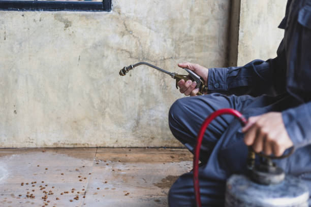Best Mosquito Control Services  in Ennis, TX